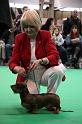 Crufts2011_2 1633